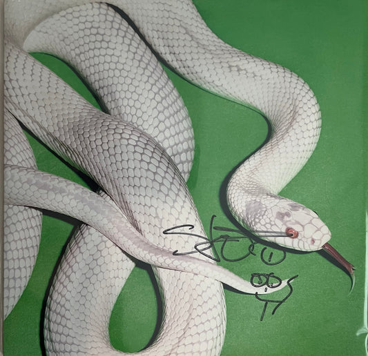 Deftones – "Private Music" (LP, Autographed by Stephen Carpenter), Clear Vinyl