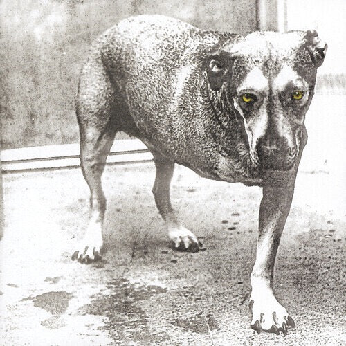 Alice In Chains, "Alice In Chains" 30th Anniversary Edition, 2LP Yellow Vinyl